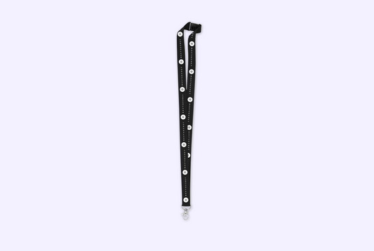 LocalHeroBox Lanyard (with safety lock)